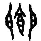 篆刻字典寫的篆書(shū)饗