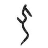 甲骨文写的篆书弘