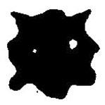 篆刻字典寫(xiě)的篆書(shū)毋