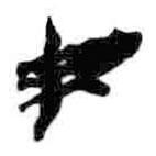 簡帛寫的篆書毋